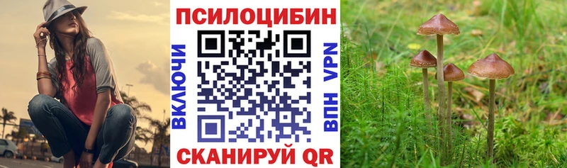 что такое   Дмитровск  Галлюциногенные грибы ЛСД 